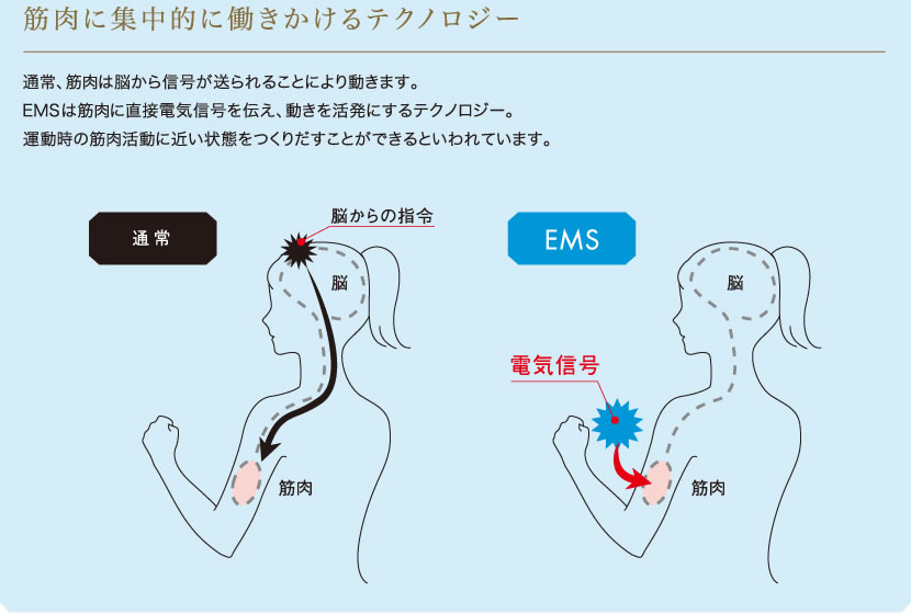 筋肉に集中的に働きかけるテクノロジー