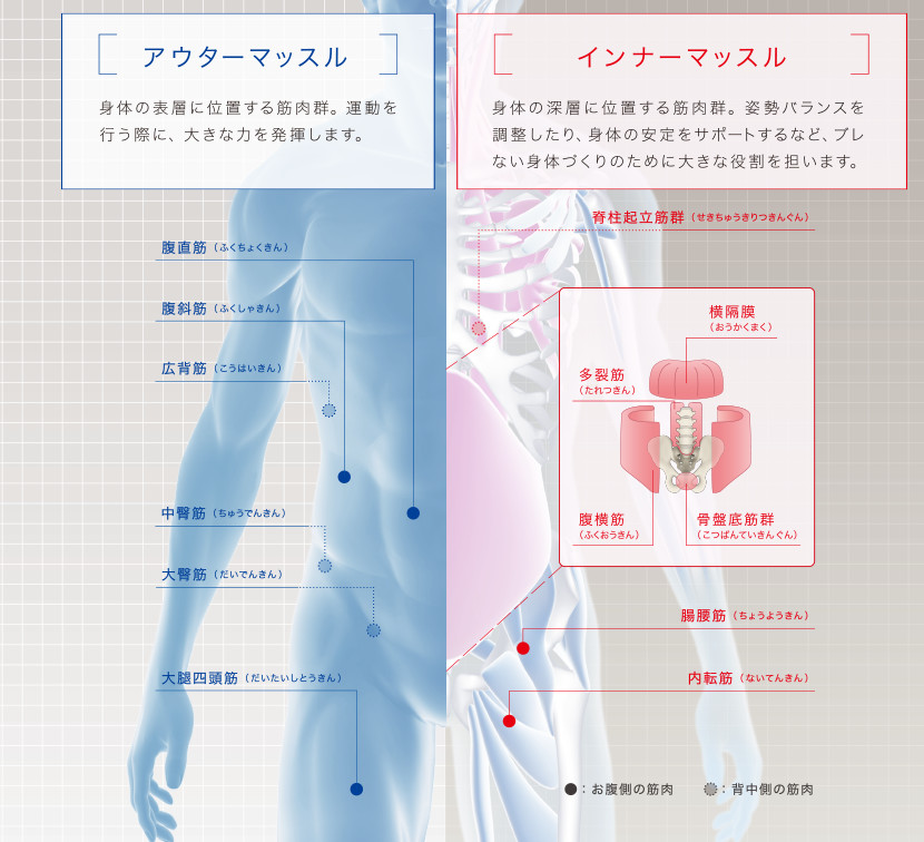 体幹を鍛えて、理想のカラダをつくる。